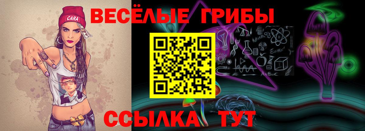 Галлюциногенные грибы Psilocybe Медногорск