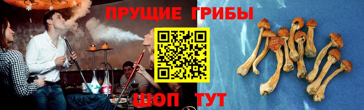 Псилоцибиновые грибы Psilocybe  Вход с VPN  Медногорск 